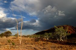 Страны и регионы мира