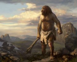 Теория эволюции