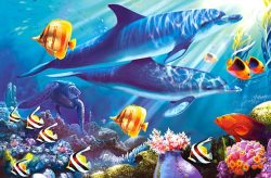 Зоология, Биология